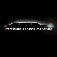 Professional Car and Limo Logo
