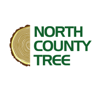 North County Tree Logo