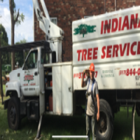 Indiana Tree Service Logo