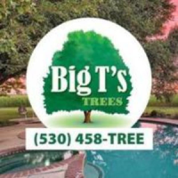 Big T's Trees Logo