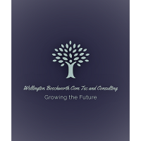 Wellington Boschworth Commercial Technologies and Consulting Logo