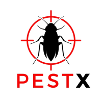 Pest X Logo