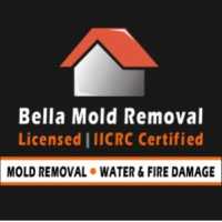 Bella Mold Removal Logo