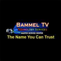 Bammel TV Technology Services Logo