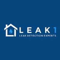 Leak 1 Logo