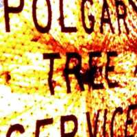 Polgar Tree Service & Removal LLC Logo