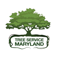 Tree Service Maryland Logo