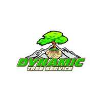 Dynamic Tree Service LLC Logo