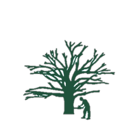 F&G Family Landscaping Co. Logo