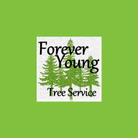 Forever Young Tree Service Logo