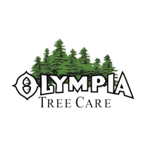 Olympia Tree Care LLC. Logo