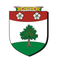 Flannerys Tree Service LLC Logo