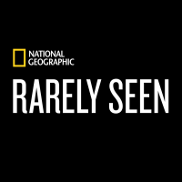 Rarely Seen Exhibition - National Geographic Logo