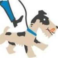 Millennium Dog Walkers & Pet Care Logo