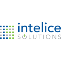 Business IT Solutions & IT Services Provider in Washington, DC Metro Area | Intelice Solutions Logo