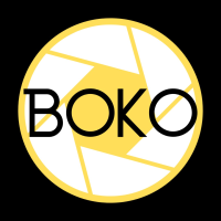 Boko Media - Real Estate Photography & Video Logo