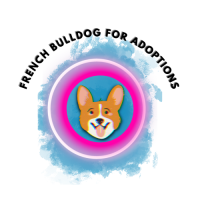 French Bulldog For Adoptions Logo