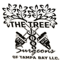 The Tree Surgeons of Tampa Bay LLC Logo