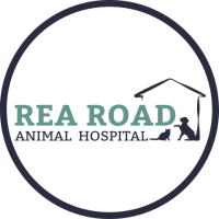 Rea Road Animal Hospital Logo