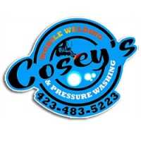 Cosey's Mobile Welding and Pressure Washing Logo