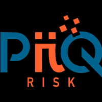 PiiQ Media & Risk Logo