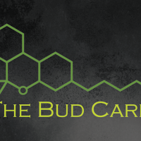 The Bud Card Logo