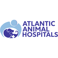 Atlantic Animal Hospital â€“ Port Orange Logo