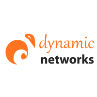 Dynamic Networks Logo