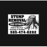 Stump removal rochester Logo