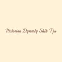 Victorian Dynasty Shih Tzu Logo