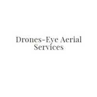 Drone's-Eye Aerial Services Logo