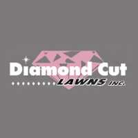 Diamond Cut Lawns Inc. Logo