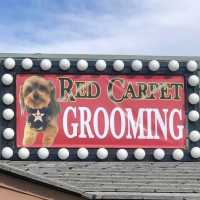 Red Carpet Pet Grooming Logo