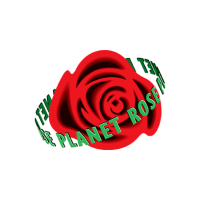 Planet Rose Karaoke Bar Logo