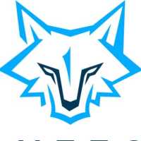 BlueFox Cleaning Co Logo