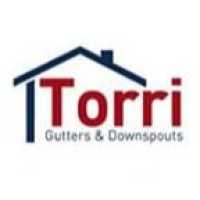 Torri Gutters & Painting Logo