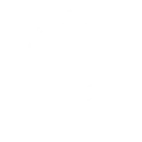 Bella Vista Pro Services Logo