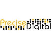 Precise Digital Logo