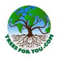 TreesForYou.com Logo