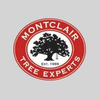 Montclair Tree Experts Logo