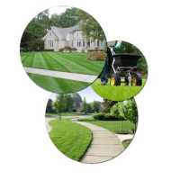 Southern Blue Lawn & Landscaping Logo