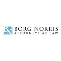 BORG NORRIS Attorneys at Law Logo
