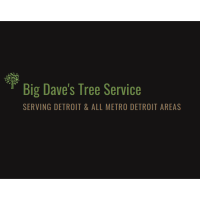Big Dave's Tree Service Logo