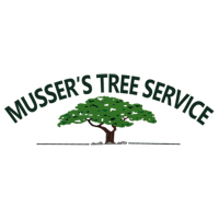 Musser's Tree Service Logo