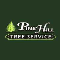 Pine Hill Tree Services LLC Logo