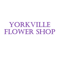 Yorkville Flower Shoppe Logo