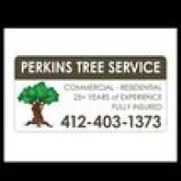 Perkins Tree Service Logo