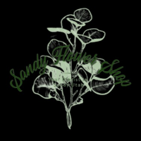 Sandy Flower Shop Logo