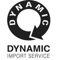 Dynamic Import Service Logo