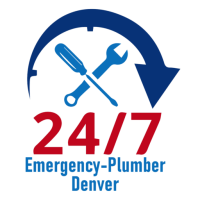 Professional Plumbers Denver Logo